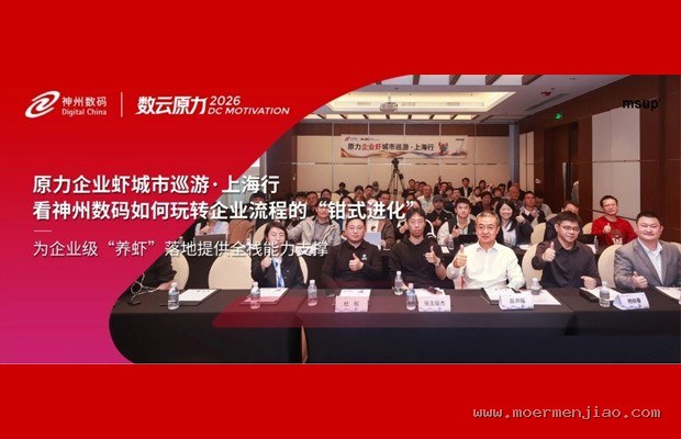 2025年NFL超级碗中场秀背后的黑科技:无人机如何做到秒级编队与零眩光?